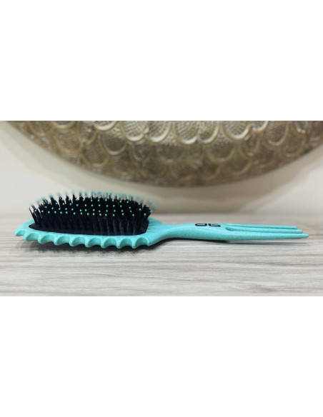 Cepillo Biodegradable Defindor AG